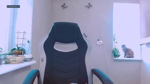 Snapshot of rosa843850 chatting on February 2026 12:32:02 PM rosa843850 online show from February 2026 12:32:02 PM