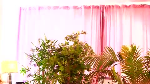 Rosa online show from July 2026 08:21:01 AM