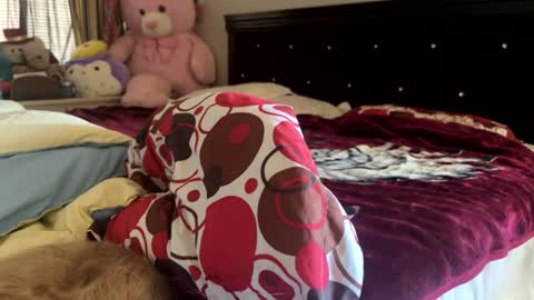 Rose and Jacks Pay Room online show from July 2026 07:13:02 PM