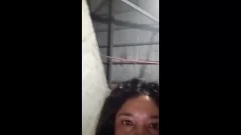 rose_marie2025 online show from February 2026 03:49:02 PM