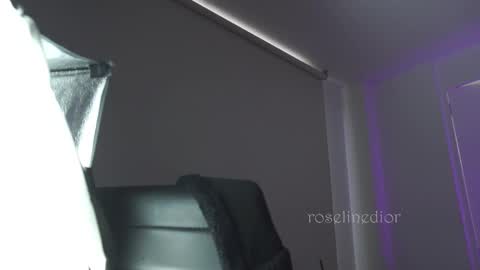 Snapshot of roselinedior chatting on November 2025 11:54:01 AM Lyla OF roselinedior online show from November 2025 11:54:01 AM