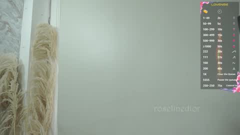 Snapshot of roselinedior chatting on November 2025 01:06:01 PM Lyla OF roselinedior online show from November 2025 01:06:01 PM