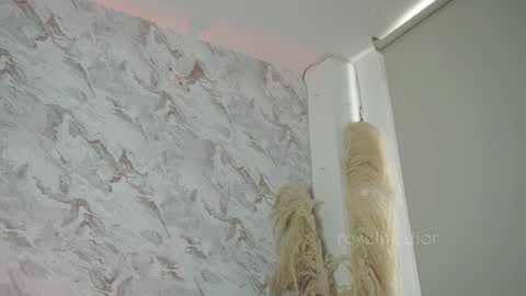 Snapshot of roselinedior chatting on November 2025 02:17:02 PM Lyla OF roselinedior online show from November 2025 02:17:02 PM