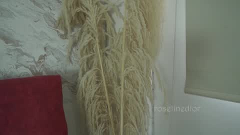 Snapshot of roselinedior chatting on December 2025 01:38:02 PM Lyla OF roselinedior online show from December 2025 01:38:02 PM