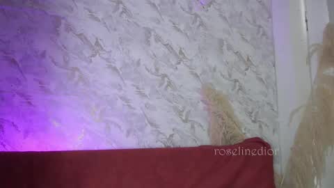 Snapshot of roselinedior chatting on December 2025 01:52:02 PM Lyla OF roselinedior online show from December 2025 01:52:02 PM