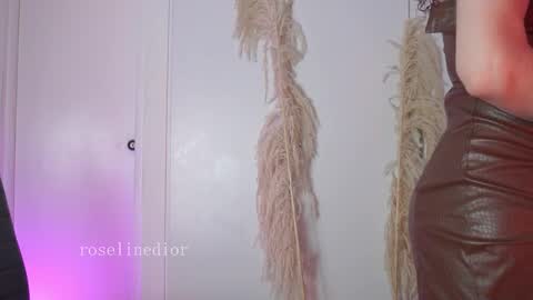 Snapshot of roselinedior chatting on January 2026 02:22:02 PM Lyla OF roselinedior online show from January 2026 02:22:02 PM