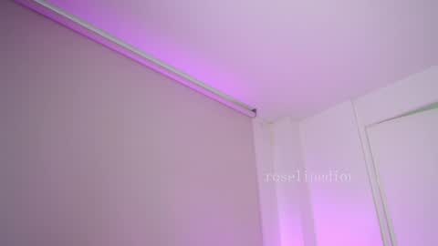 Snapshot of roselinedior chatting on February 2026 11:49:01 AM Lyla OF roselinedior online show from February 2026 11:49:01 AM