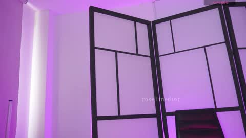 Snapshot of roselinedior chatting on February 2026 03:41:02 PM Lyla OF roselinedior online show from February 2026 03:41:02 PM