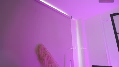 Snapshot of roselinedior chatting on February 2026 08:49:01 PM Lyla OF roselinedior online show from February 2026 08:49:01 PM