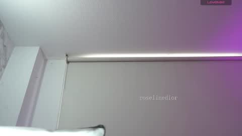 Snapshot of roselinedior chatting on February 2026 02:51:02 PM Lyla OF roselinedior online show from February 2026 02:51:02 PM