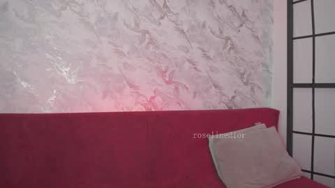 Snapshot of roselinedior chatting on March 2026 12:22:01 PM Lyla OF roselinedior online show from March 2026 12:22:01 PM