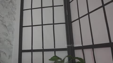 Snapshot of roselinedior chatting on March 2026 02:12:02 PM Lyla OF roselinedior online show from March 2026 02:12:02 PM