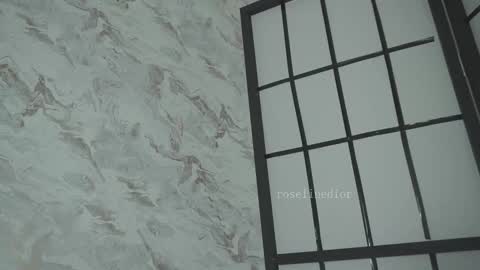 Snapshot of roselinedior chatting on March 2026 01:29:02 PM Lyla OF roselinedior online show from March 2026 01:29:02 PM