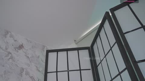 Snapshot of roselinedior chatting on March 2026 02:09:02 PM Lyla OF roselinedior online show from March 2026 02:09:02 PM