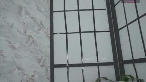 Snapshot of roselinedior chatting on March 2026 03:59:01 PM Lyla OF roselinedior online show from March 2026 03:59:01 PM