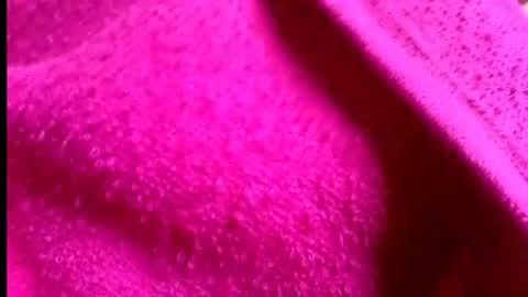 Rosi online show from July 2026 01:41:01 AM