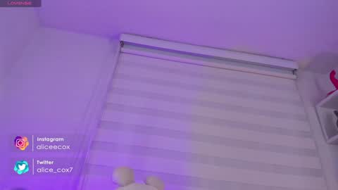   online show from January 2025 11:15:02 AM