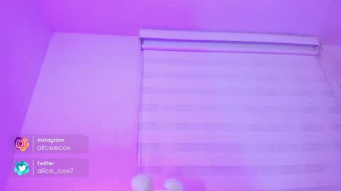   online show from February 2025 11:04:01 AM