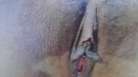 Snapshot of rousse_kitty69 chatting on December 2024 04:12:01 AM Daniela Ferreira online show from December 2024 04:12:01 AM