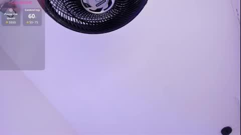 Roxie  online show from March 2026 07:29:01 PM