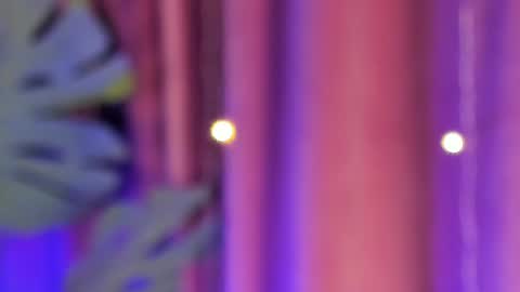 Snapshot of roxy_riot_ chatting on February 2025 04:25:02 AM roxy_riot_ online show from February 2025 04:25:02 AM