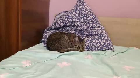 Snapshot of roxy_secrets chatting on January 2025 06:48:01 PM roxy secrets online show from January 2025 06:48:01 PM