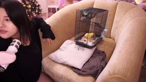 roxysuh online show from December 2024 08:23:02 AM