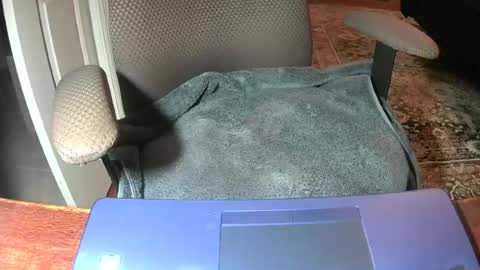 Lookingaround online show from June 2026 08:55:02 AM