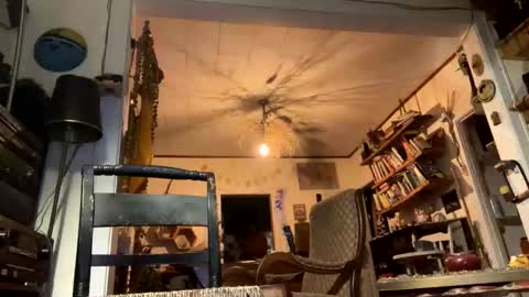 rp131313 online show from November 2025 01:59:01 AM