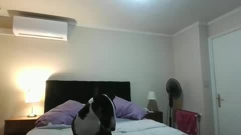 rulitos206 online show from May 2026 02:53:01 AM