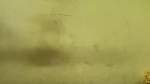 Rupali online show from December 2025 04:19:01 AM