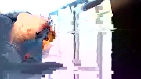 Snapshot of rushover63 chatting on March 2025 10:49:01 AM rushover63 online show from March 2025 10:49:01 AM