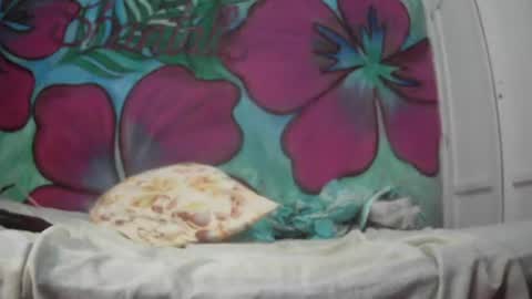 Javier online show from July 2026 12:58:01 AM