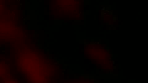 Snapshot of ryanstar7 chatting on January 2025 08:10:01 AM Ryan Star online show from January 2025 08:10:01 AM