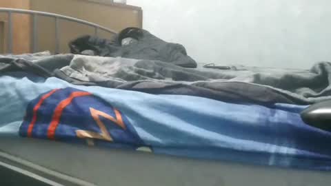 arte online show from January 2025 07:48:02 PM