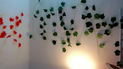 SABRI online show from January 2025 12:11:02 PM