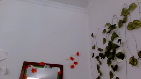 SABRI online show from June 2026 04:41:01 PM