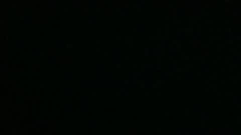 sabs13109925 online show from February 2026 09:34:01 AM