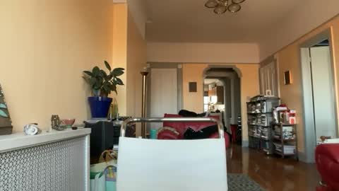 Snapshot of sadie_stars chatting on March 2026 08:24:01 PM Sadie online show from March 2026 08:24:01 PM