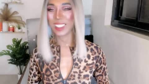 sahayafox online show from April 2026 07:19:01 PM