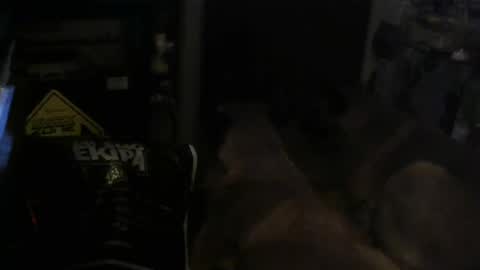 salaso138 online show from February 2025 11:31:01 PM