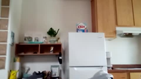 salis1981 online show from February 2026 08:46:02 PM