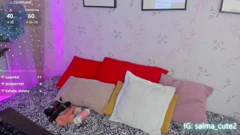 Snapshot of salmaacute chatting on January 2025 10:17:01 PM Salma online show from January 2025 10:17:01 PM