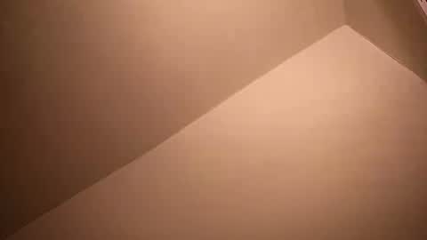 Snapshot of salmonman1305 chatting on January 2025 06:59:01 AM salmonman1305 online show from January 2025 06:59:01 AM