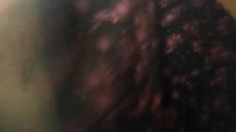 Snapshot of salmonman1305 chatting on January 2025 11:49:01 AM salmonman1305 online show from January 2025 11:49:01 AM