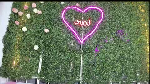 Snapshot of salome_domi chatting on January 2025 10:50:01 PM salome online show from January 2025 10:50:01 PM