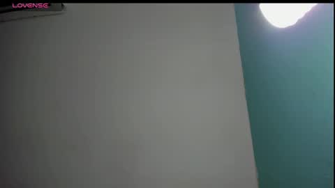 Snapshot of salome_domi chatting on January 2025 08:22:02 PM salome online show from January 2025 08:22:02 PM