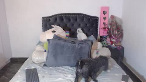 Snapshot of salomefox2 chatting on January 2026 03:21:01 AM yenny online show from January 2026 03:21:01 AM