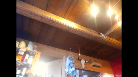 salsapaulus online show from April 2026 12:10:01 PM