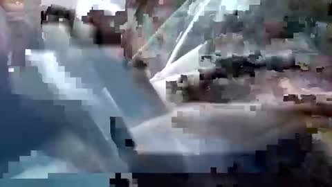 sam223382879 online show from December 2024 03:28:01 PM